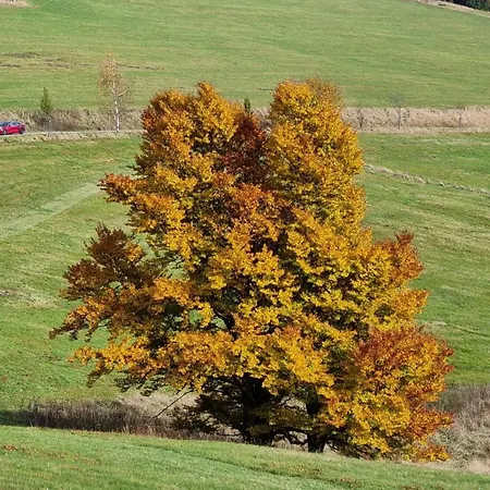 דירה Haus Blach *