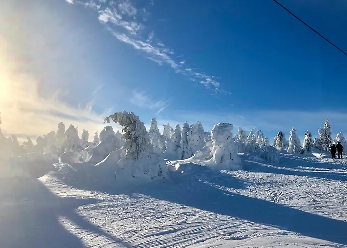 Apartment Haus Blach *