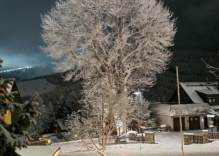 Apartment Haus Blach