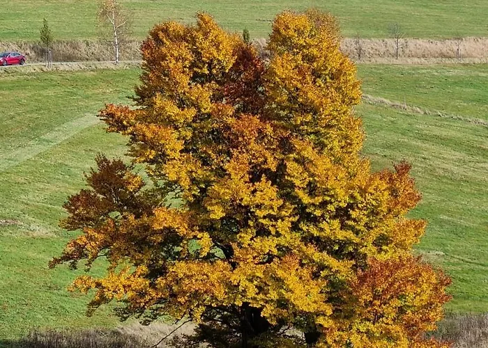 Apartment Haus Blach *